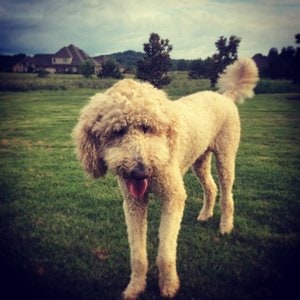 Charlie